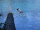 Thumbs/tn_ClearLake 048.jpg
